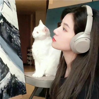 静静的决斗